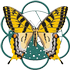Logo Corso Erboristeria