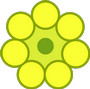 marchio